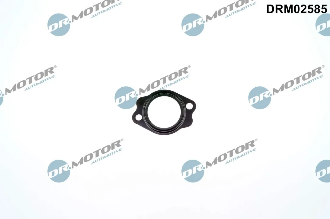 Gasket, coolant pipe